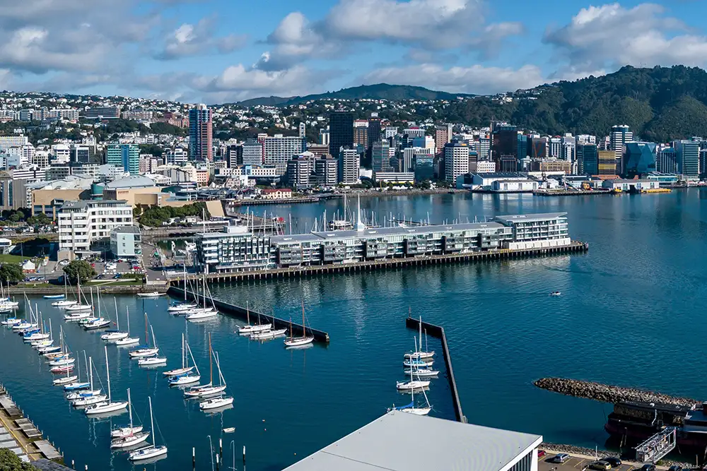 웰링턴 (Wellington)